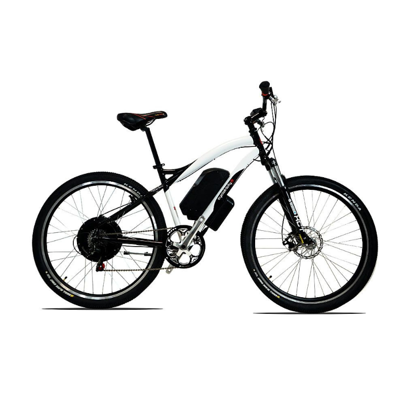 Stealth 1000W 29er Electric Bike