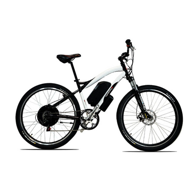 Stealth 1000W 29er Electric Bike