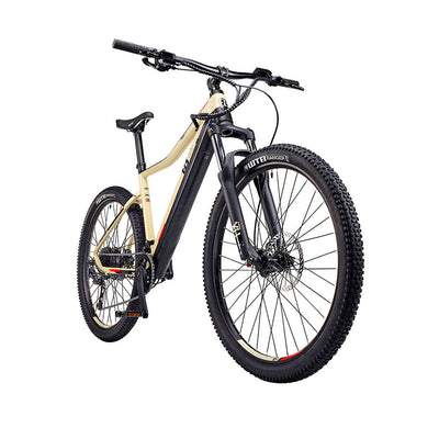 Trail Destroyer eMTB Electric Bike