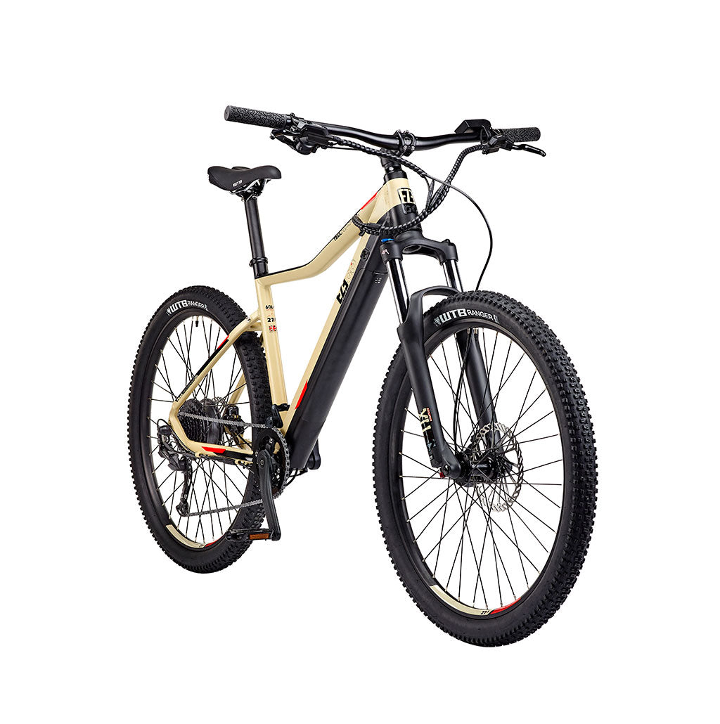 Trail Destroyer eMTB Electric Bike