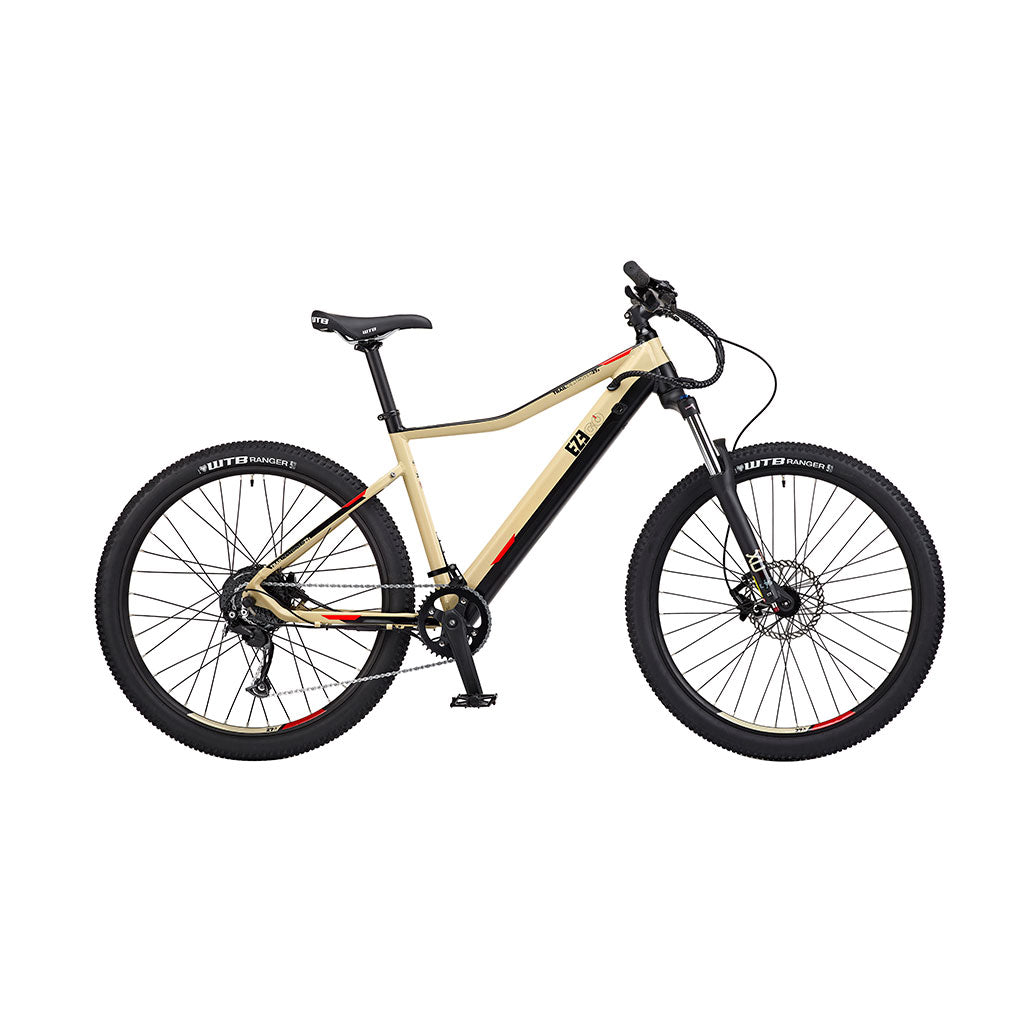 Trail Destroyer eMTB Electric Bike