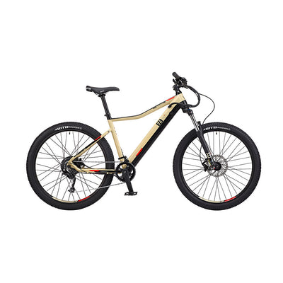 Trail Destroyer eMTB Electric Bike