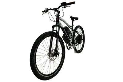 Stealth 1000W 29er Electric Bike