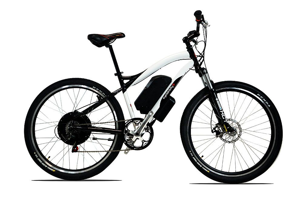 Stealth 1000W 29er Electric Bike